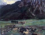 Sheepfold in Tirol